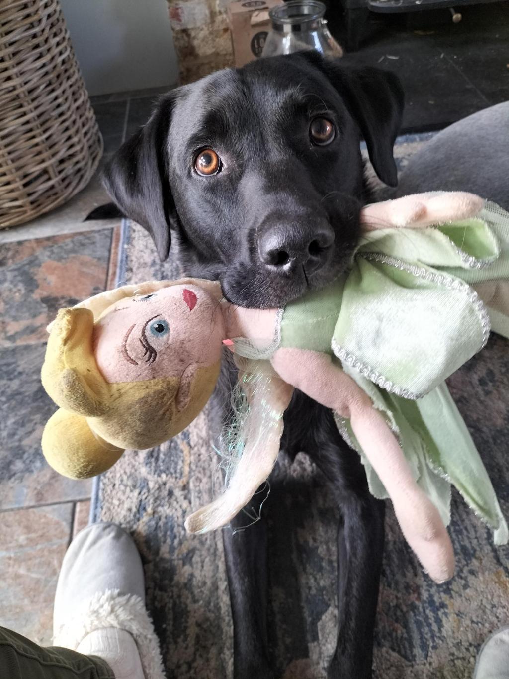 Publishing Question Time